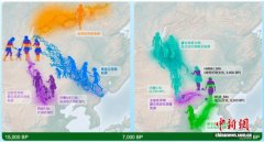古基因组研究揭示：七八千年前东亚地区社会结构以家庭为核心